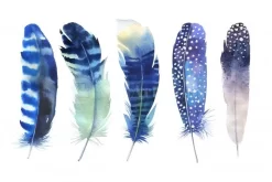 Feather Me Blue