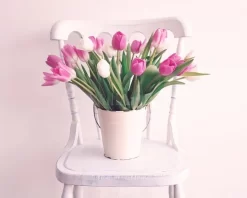 The Tulip Chair