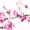 Pink Blossom Branch