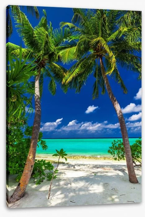 Enter Paradise 2 Enter Paradise - Image 2