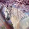 Unicorn In The Blossom