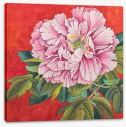 Peony On Red -Art Mural Shop 119163916 stretchedcanvas