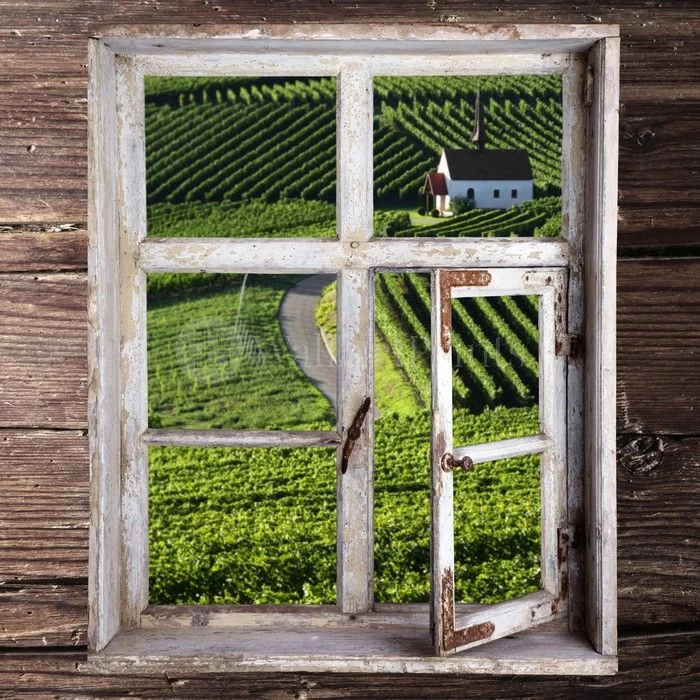 View Of The Vineyard 1 View Of The Vineyard