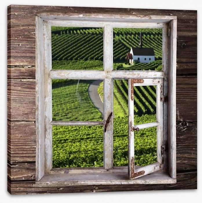 View Of The Vineyard 2 View Of The Vineyard - Image 2