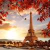 Eiffel Tower In Autumn