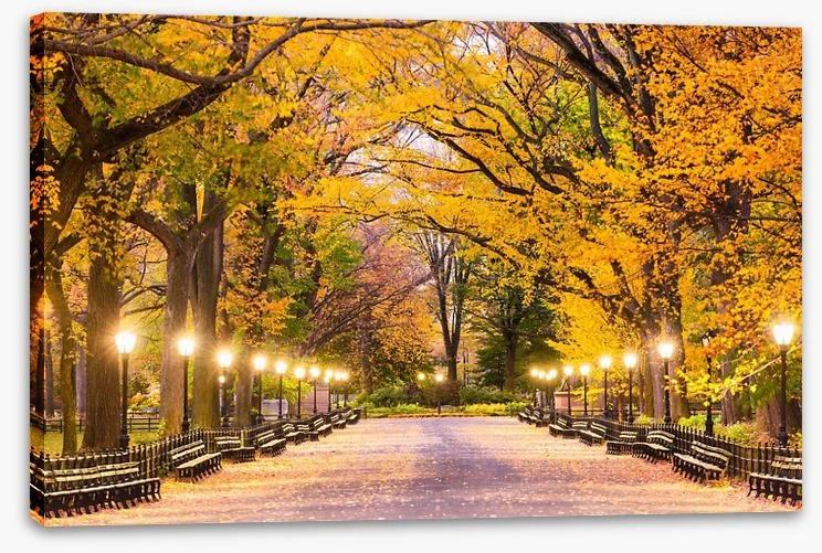 Fall At The Mall 2 Fall At The Mall - Image 2