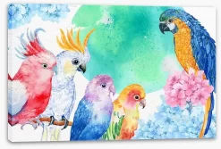 Parrot Party -Art Mural Shop 126636164 stretchedcanvas