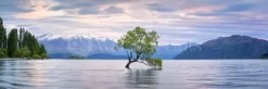 Lake Wanaka Panoramic