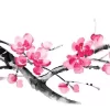 Cherry Blossom Branch