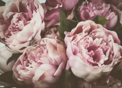 Vintage Peony
