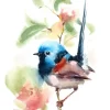 Little Fairy Wren