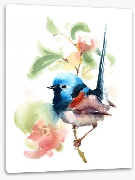 Little Fairy Wren 2 Little Fairy Wren - Image 2