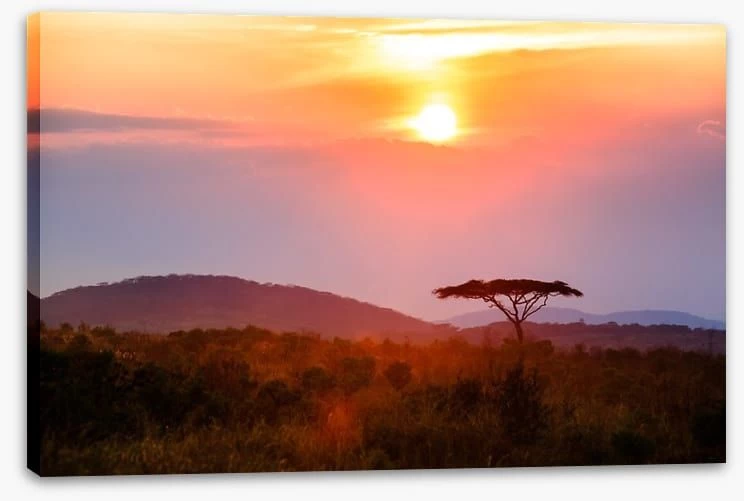 Malawi Moment 2 Malawi Moment - Image 2