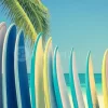 Vintage Surfboards