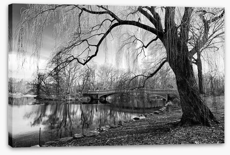 Bow Bridge Willow 2 Bow Bridge Willow - Image 2