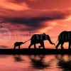 Elephant Family Silhouette