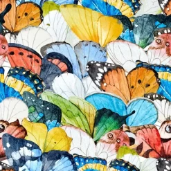 Waiting In The Wings