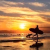 Surf Silhouettes