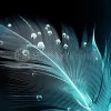 Blue Feather Droplets