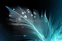 Blue Feather Droplets