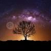 The Cosmic Tree