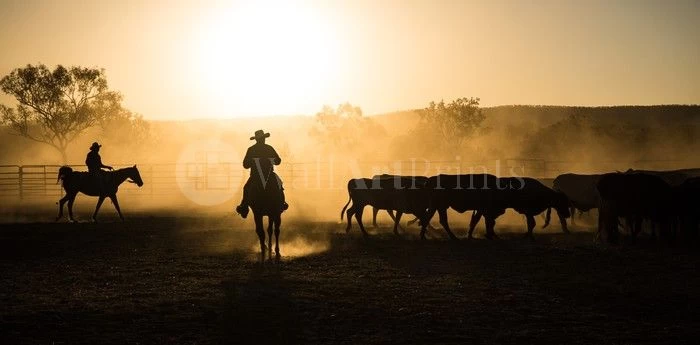 Mustering 1 Mustering
