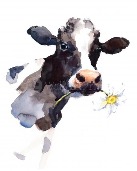 Daisy The Cow 1 Daisy The Cow