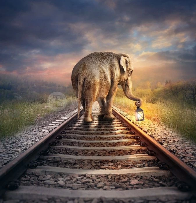 Lead The Way 1 Lead The Way