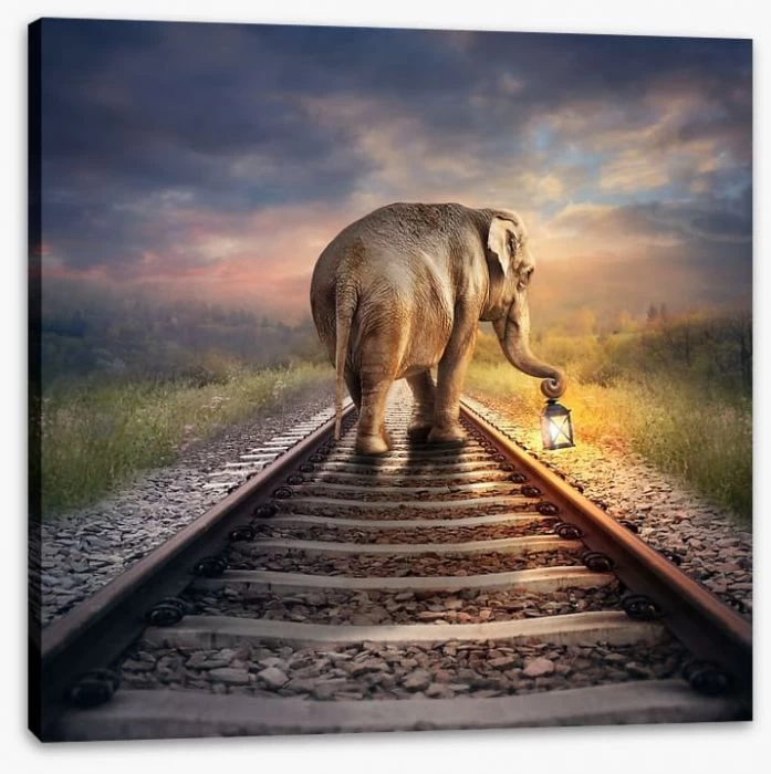 Lead The Way 2 Lead The Way - Image 2