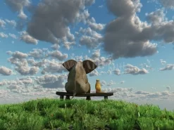 Together On The Hill