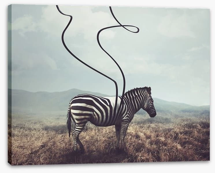 Unwinding 2 Unwinding - Image 2