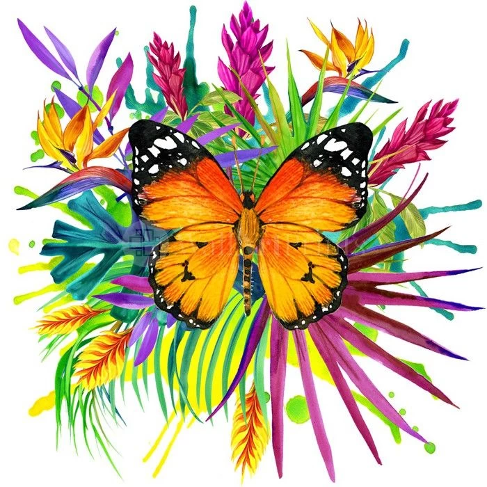 Midsummer Monarch 1 Midsummer Monarch