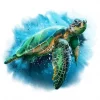 Sea Turtle Splash
