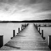 Alone On The Dock
