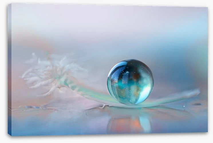 Weightless No More 2 Weightless No More - Image 2