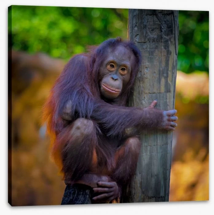 The Tree And Me 2 The Tree And Me - Image 2