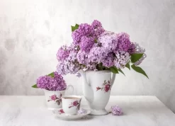 Lilac Tea Time