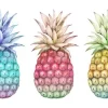 Three Pineapples More