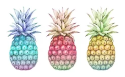 Three Pineapples More