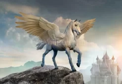 Pegasus Perch