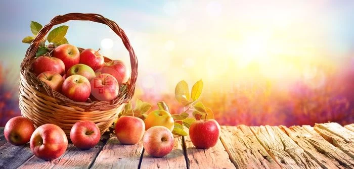 Pink Ladies 1 Pink Ladies