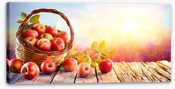 Pink Ladies 2 Pink Ladies - Image 2