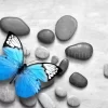 Blue Butterfly Stones
