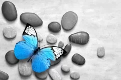 Blue Butterfly Stones