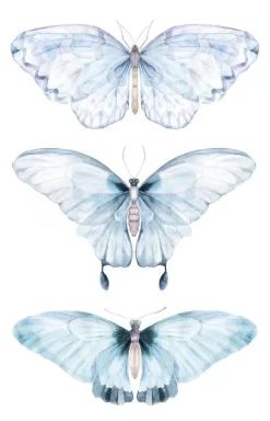 Barely There Butterflies