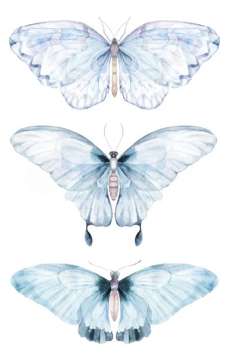 Barely There Butterflies 1 Barely There Butterflies