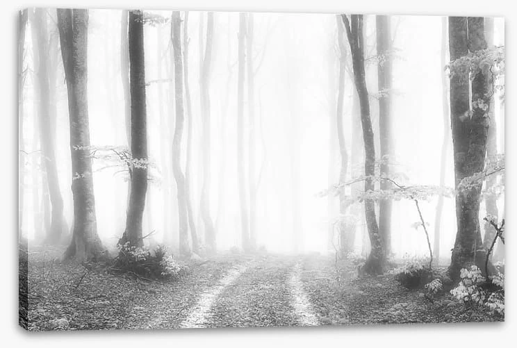 Into The Ether 2 Into The Ether - Image 2