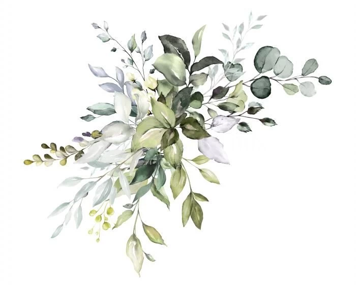 Soft Eucalypt 1 Soft Eucalypt