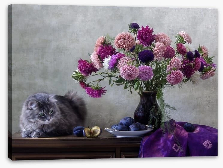 Grey Kitten Asters 2 Grey Kitten Asters - Image 2