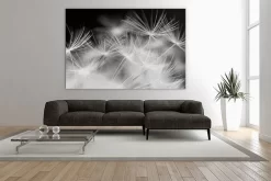 Blowballs -Art Mural Shop 23180311 add image